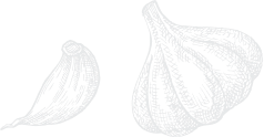 garlic_3